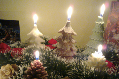 Vianočné stromčeky a šišky